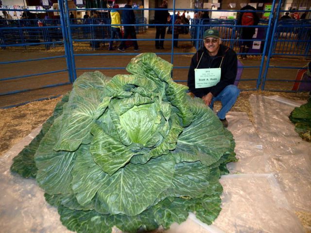 morning picdump 55 pics 16.html - 55 HD Photos | Premium Gallery 2012