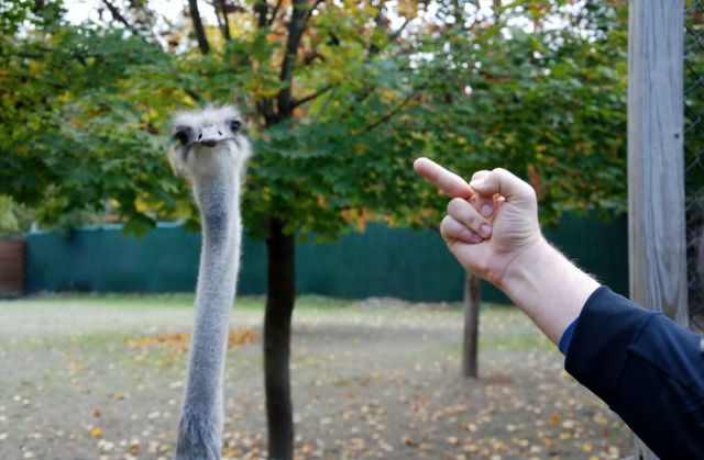 morning picdump 55 pics 16.html - 55 HD Photos | Premium Gallery 2012