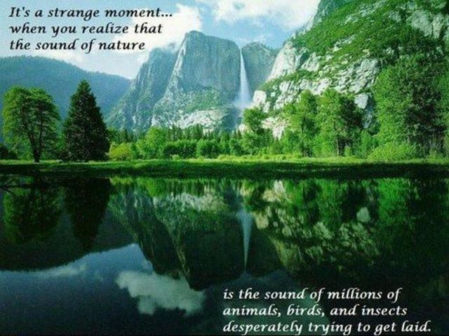 morning picdump 55 pics 16.html - 55 HD Photos | Premium Gallery 2012