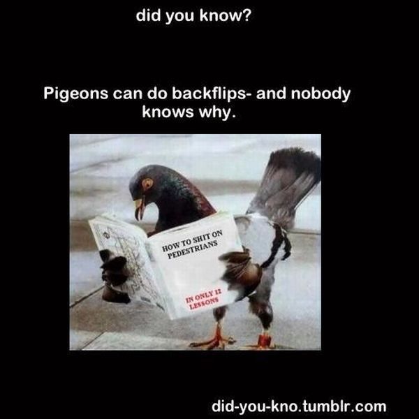 morning picdump 55 pics 16.html - 55 HD Photos | Premium Gallery 2012