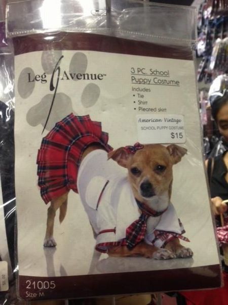 morning picdump 55 pics 16.html - 55 HD Photos | Premium Gallery 2012