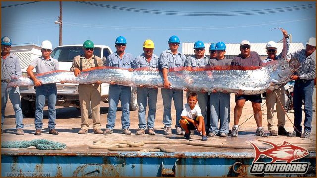 daily picdump 93 pics 40.html - 93 HD Photos | Premium Gallery 2012