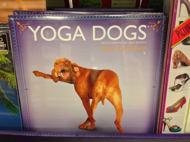 daily picdump 93 pics 40.html - 93 HD Photos | Premium Gallery 2012