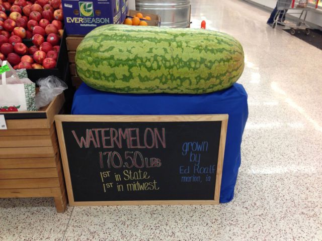 daily picdump 93 pics 40.html - 93 HD Photos | Premium Gallery 2012