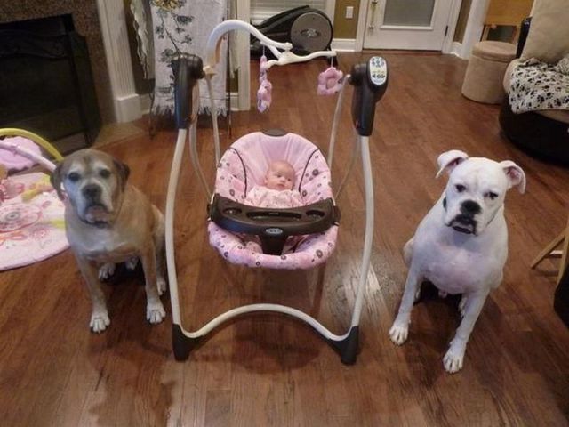 morning picdump 54 pics 43.html - 54 HD Photos | Premium Gallery 2012