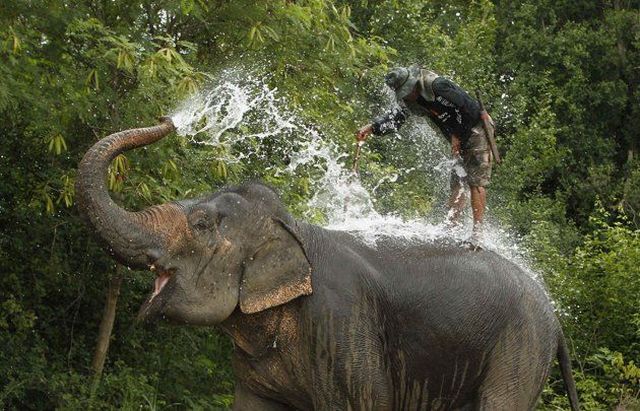 daily picdump 98 pics 1.html - 98 HD Photos | Premium Gallery 2012