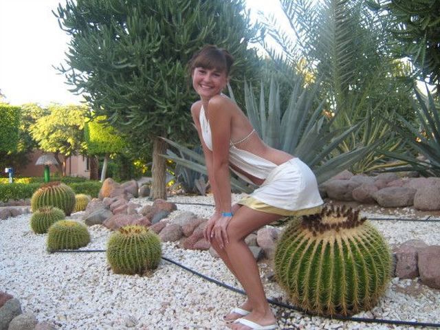 daily picdump 98 pics 1.html - 98 HD Photos | Premium Gallery 2012