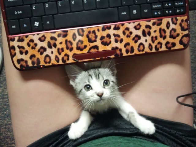 daily picdump 98 pics 1.html - 98 HD Photos | Premium Gallery 2012