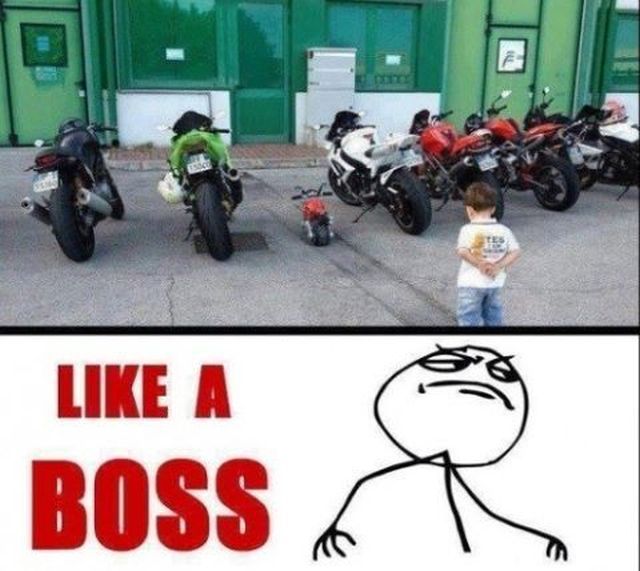 daily picdump 98 pics 1.html - 98 HD Photos | Premium Gallery 2012