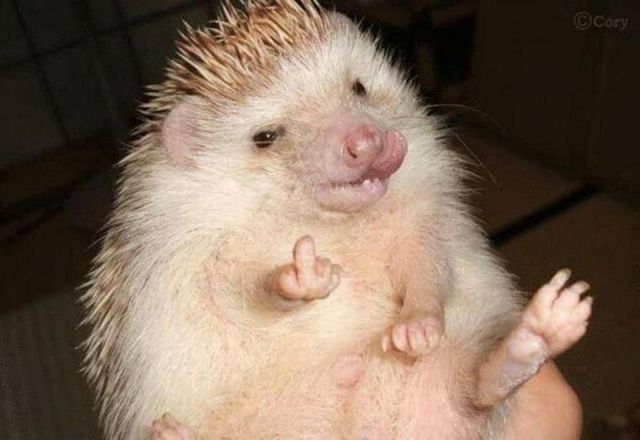 morning picdump 53 pics 2.html - 53 HD Photos | Premium Gallery 2012