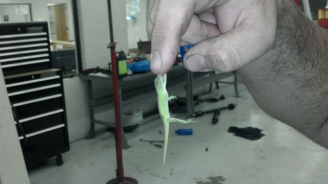 morning picdump 53 pics 2.html - 53 HD Photos | Premium Gallery 2012