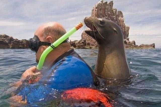 morning picdump 53 pics 2.html - 53 HD Photos | Premium Gallery 2012