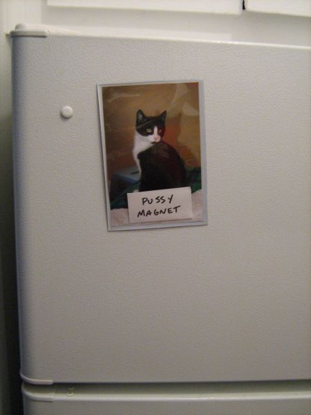 morning picdump 53 pics 2.html - 53 HD Photos | Premium Gallery 2012