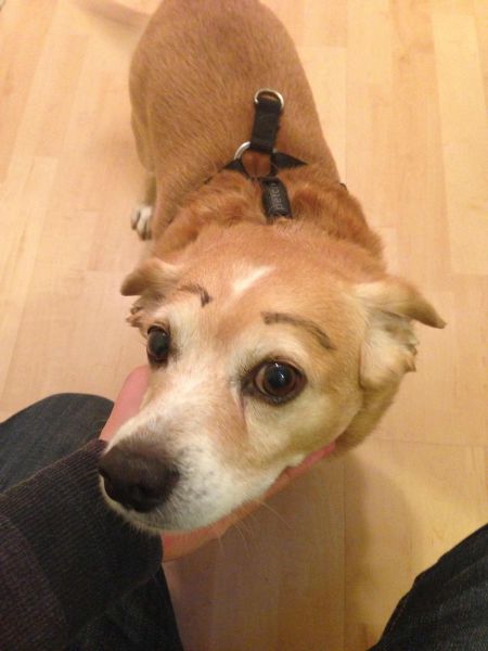 daily picdump weekend edition 94 pics 18.html - 94 HD Photos | Premium Gallery 2012