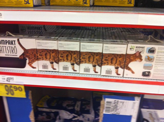 morning picdump 55 pics 12.html - 55 HD Photos | Premium Gallery 2012