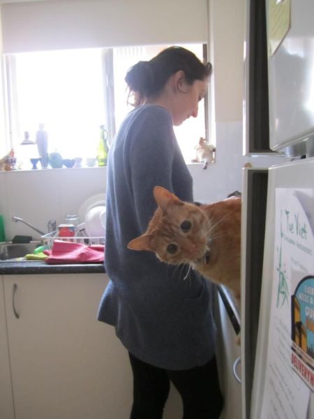 morning picdump 55 pics 36.html - 55 HD Photos | Premium Gallery 2012