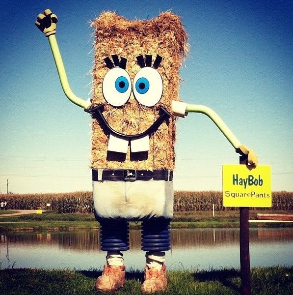 morning picdump 55 pics 36.html - 55 HD Photos | Premium Gallery 2012