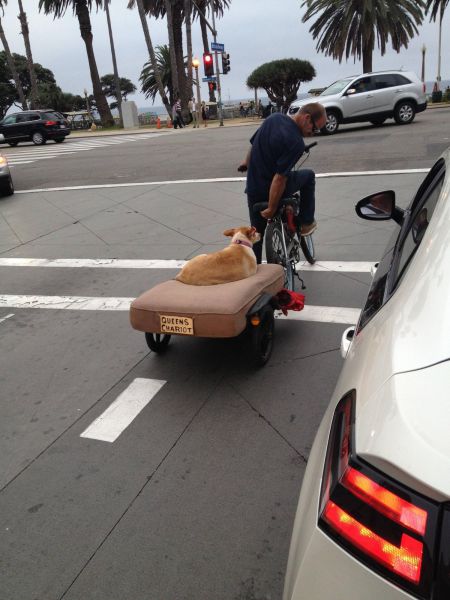 morning picdump 55 pics 36.html - 55 HD Photos | Premium Gallery 2012