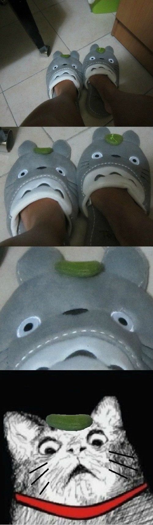 morning picdump 55 pics 36.html - 55 HD Photos | Premium Gallery 2012