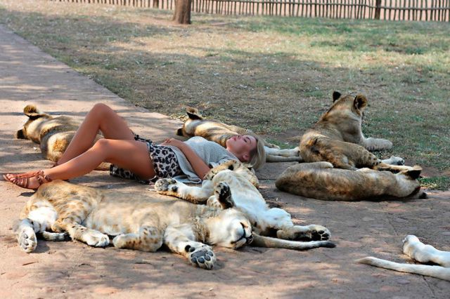 morning picdump 52 pics 25.html - 52 HD Photos | Premium Gallery 2012