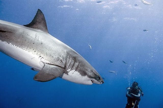 morning picdump 52 pics 25.html - 52 HD Photos | Premium Gallery 2012