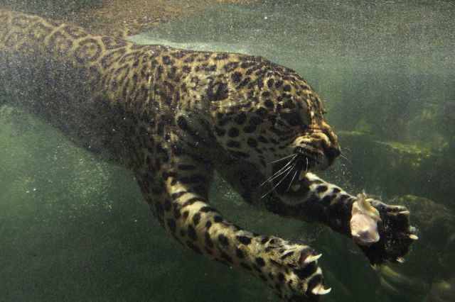 morning picdump 52 pics 25.html - 52 HD Photos | Premium Gallery 2012