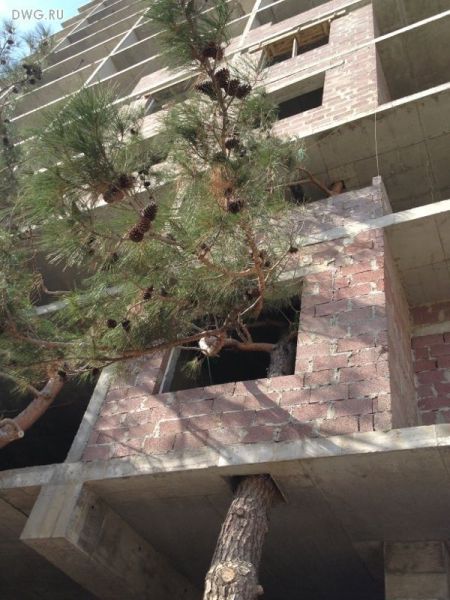 morning picdump 52 pics 25.html - 52 HD Photos | Premium Gallery 2012