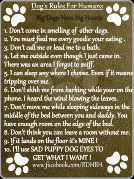 morning picdump 50 pics 1.html - 50 HD Photos | Premium Gallery 2012