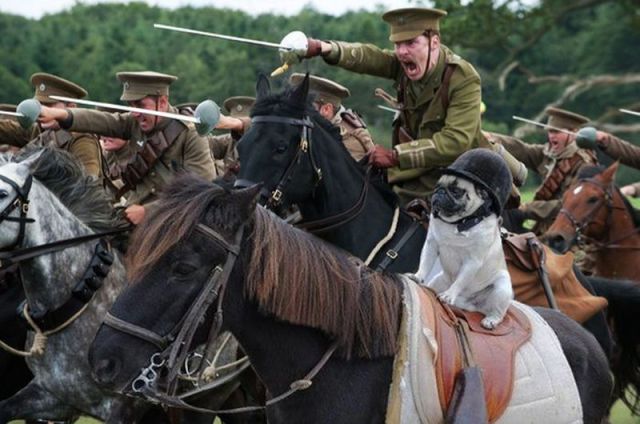 morning picdump 50 pics 1.html - 50 HD Photos | Premium Gallery 2012