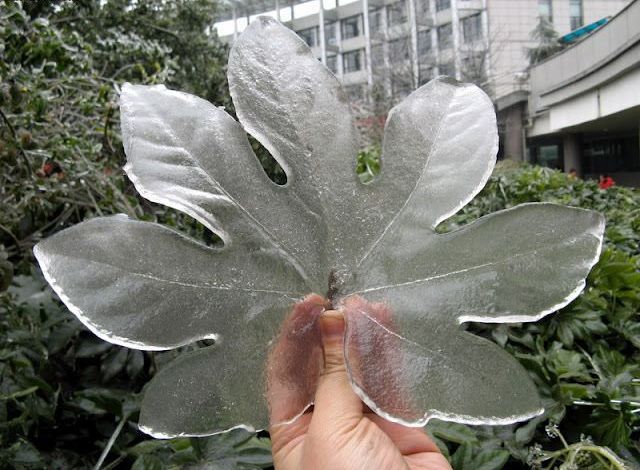 morning picdump 50 pics 1.html - 50 HD Photos | Premium Gallery 2012