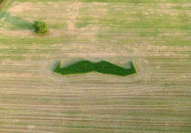 morning picdump 50 pics 1.html - 50 HD Photos | Premium Gallery 2012