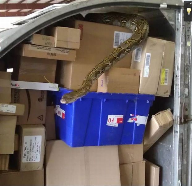 morning picdump 50 pics 1.html - 50 HD Photos | Premium Gallery 2012