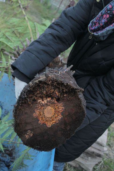 morning picdump 50 pics 1.html - 50 HD Photos | Premium Gallery 2012