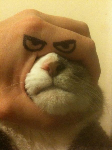 morning picdump 50 pics 1.html - 50 HD Photos | Premium Gallery 2012