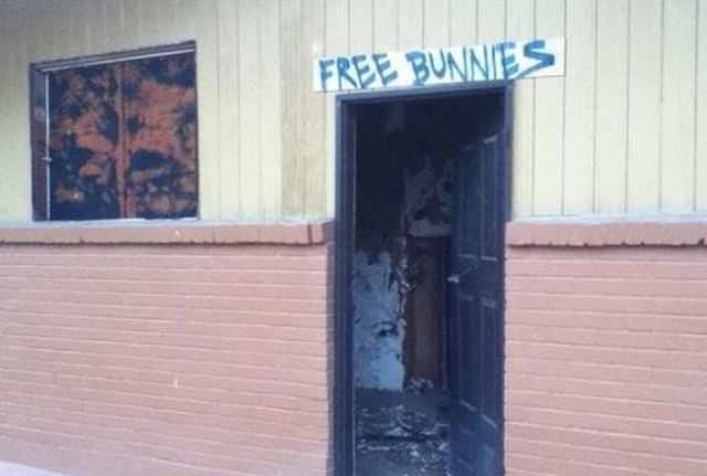 Public Signs: WTF? Part 18