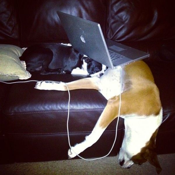 daily picdump 107 pics 8.html - 107 HD Photos | Premium Gallery 2012