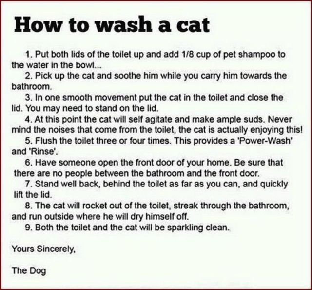 Morning Picdump