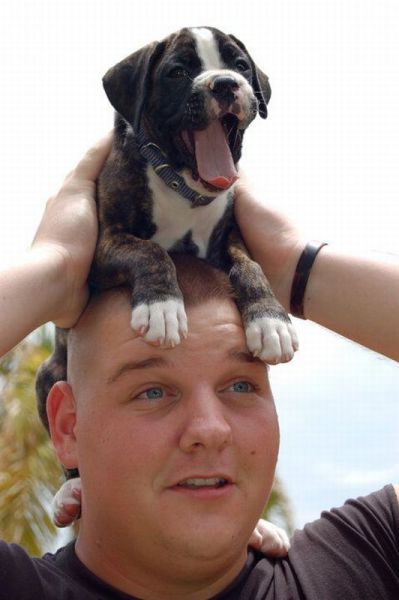 Morning Picdump