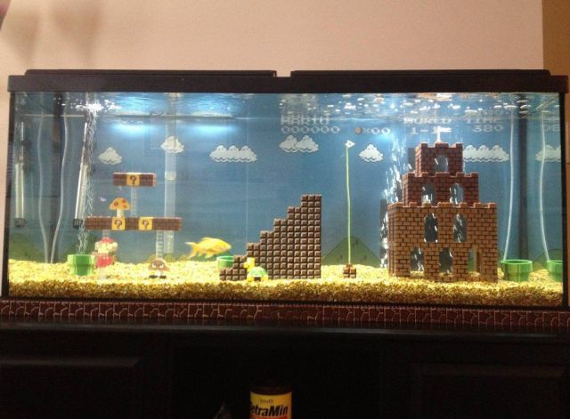 morning picdump 52 pics 12.html - 52 HD Photos | Premium Gallery 2012