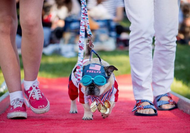 morning picdump 52 pics 12.html - 52 HD Photos | Premium Gallery 2012