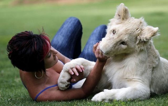 morning picdump 52 pics 12.html - 52 HD Photos | Premium Gallery 2012