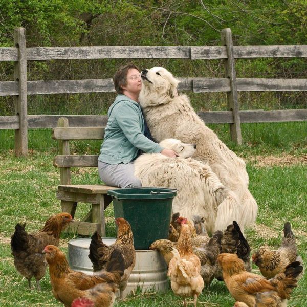 morning picdump 52 pics 12.html - 52 HD Photos | Premium Gallery 2012