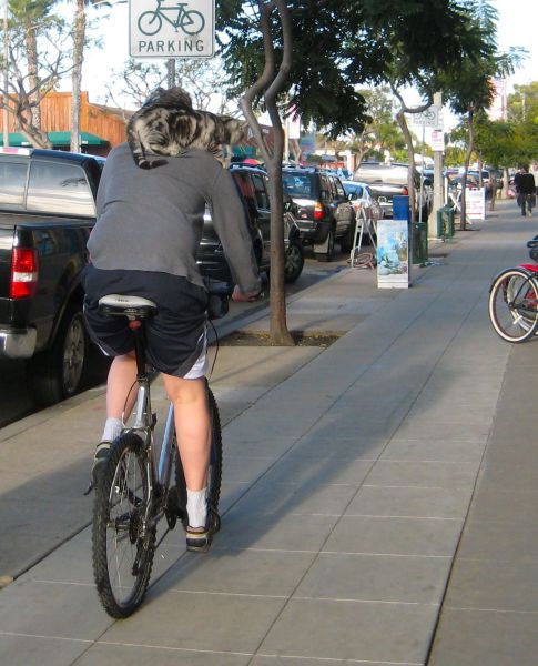 morning picdump 51 pics 1.html - 51 HD Photos | Premium Gallery 2012