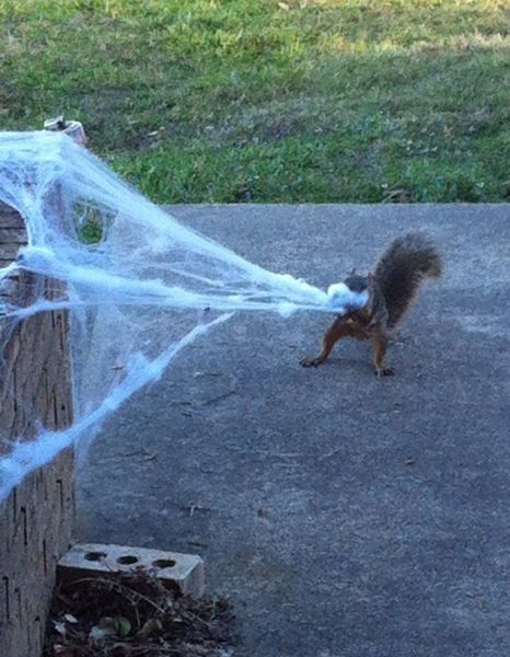 morning picdump 51 pics 1.html - 51 HD Photos | Premium Gallery 2012