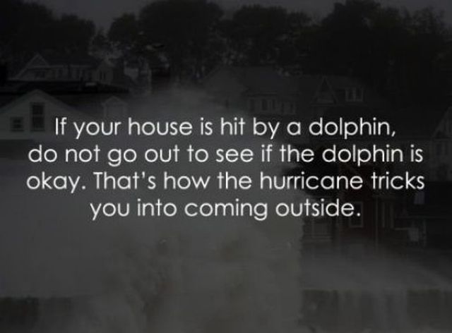 morning picdump 51 pics 1.html - 51 HD Photos | Premium Gallery 2012