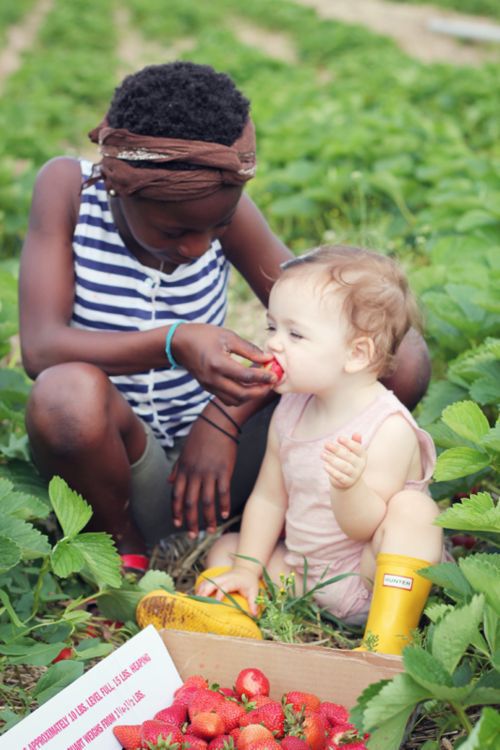 morning picdump 51 pics 1.html - 51 HD Photos | Premium Gallery 2012