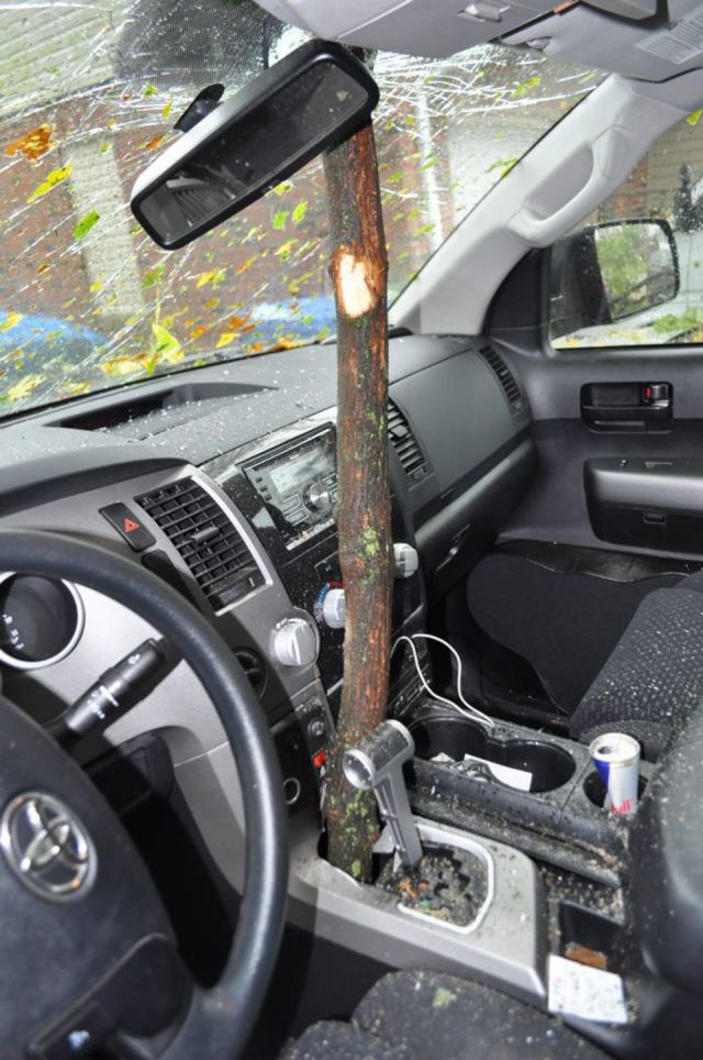 morning picdump 51 pics 1.html - 51 HD Photos | Premium Gallery 2012