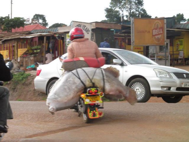 daily picdump 90 pics 32.html - 90 HD Photos | Premium Gallery 2012