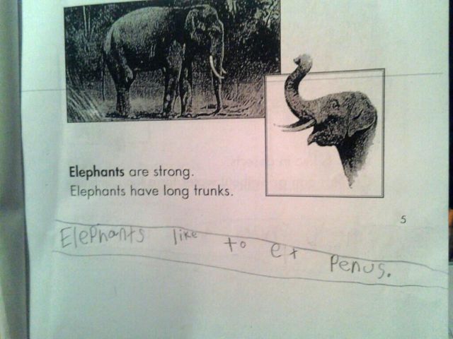 daily picdump 90 pics 32.html - 90 HD Photos | Premium Gallery 2012