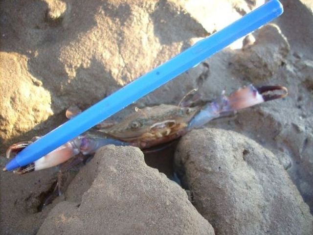 morning picdump 51 pics 27.html - 51 HD Photos | Premium Gallery 2012